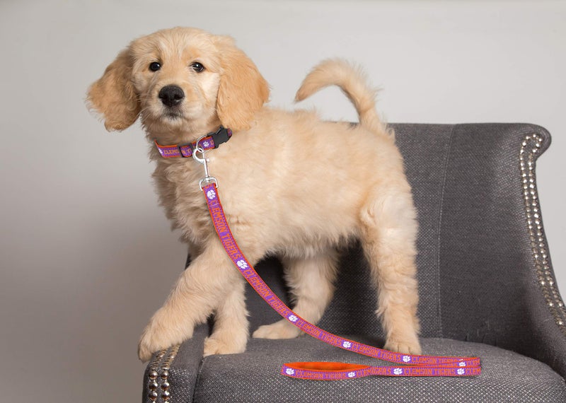 Pets First NCAA PET Leash, Medium, Clemson Tigers, Dog Leash, Shiny & Colorful Leash for Dogs & Cats Licensed by The NCAA - Image 2